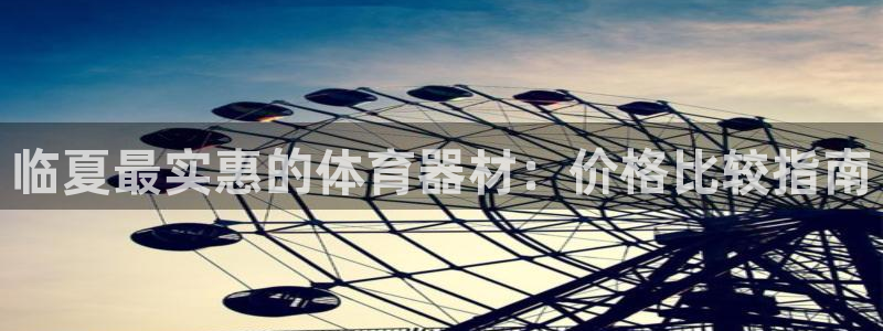 极悦平台官网登录：临夏最实惠的体育器材：价格比较指南