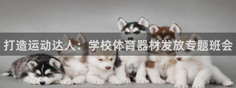 极悦平台注册官方网站下载安卓：打造运动达人：学校体育