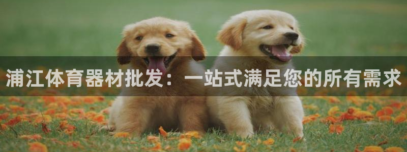 极悦平台app二维码怎么弄到桌面：浦江体育器材批发：