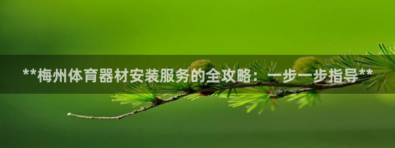 极悦平台布7O777：**梅州体育器材安装服务的全攻
