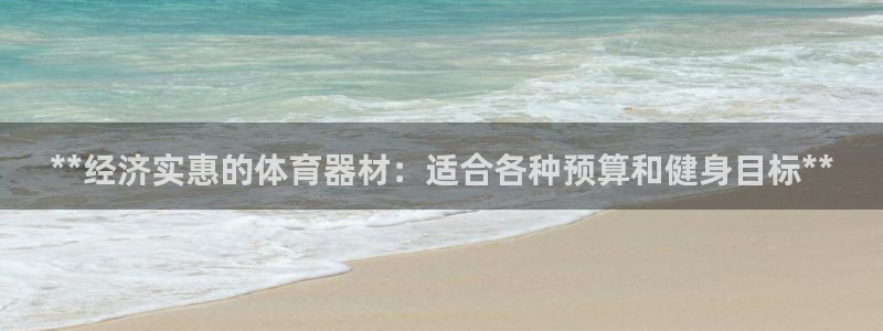 极悦平台安全吗可靠吗：**经济实惠的体育器材：适合各