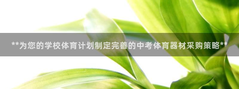 极悦平台注册登录不上：**为您的学校体育计划制定完善