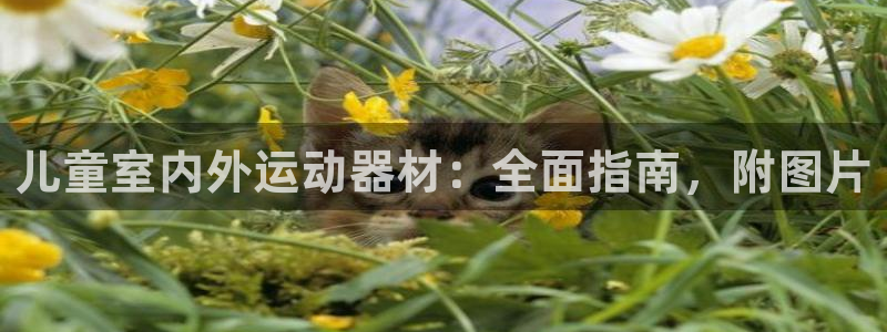 极悦平台注册官网网址：儿童室内外运动器材：全面指南，
