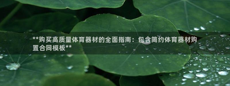 极悦平台与网易合作详情：**购买高质量体育器材的全面
