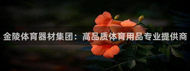 极悦平台客服团队名称：金陵体育器材集团：高品质体育用