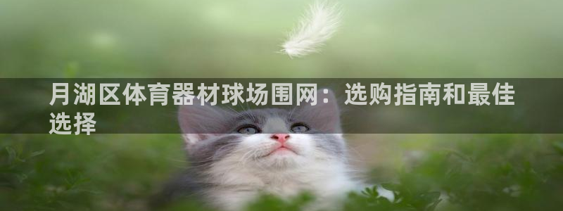 极悦平台注册流程图：月湖区体育器材球场围网：选购指南
