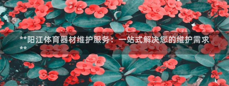极悦娱乐公司最新招聘信息官网：**阳江体育器材维护服