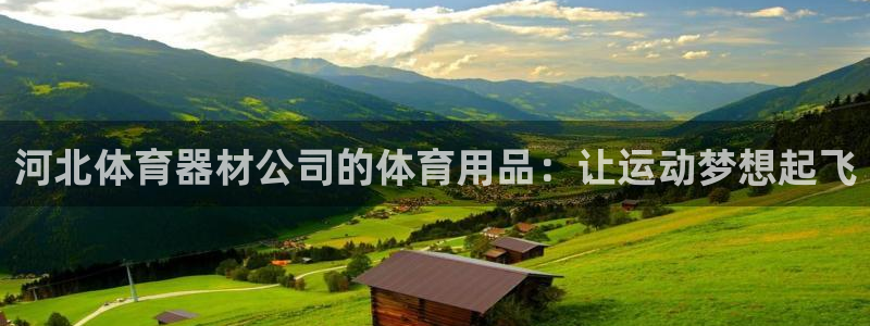 极悦平台股东名单：河北体育器材公司的体育用品：让运动