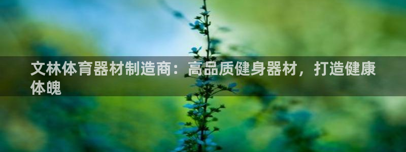 极悦娱乐会被骗吗安全吗：文林体育器材制造商：高品质健