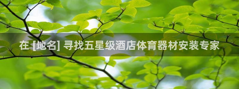 极悦娱乐：在 [地名] 寻找五星级酒店体育器材安装专