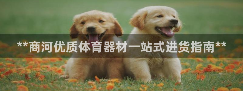 极悦平台注册用户名验证不了：**商河优质体育器材一站