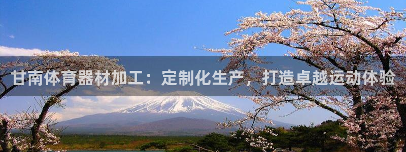 极悦平台官网登录入口下载：甘南体育器材加工：定制化生