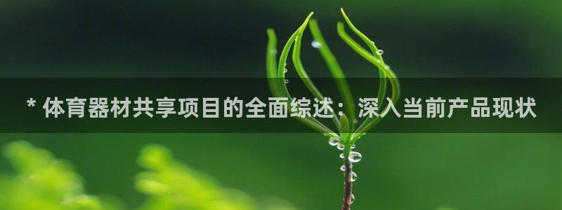极悦平台使用教程图片：* 体育器材共享项目的全面综述