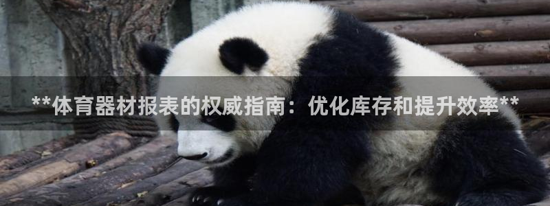 极悦平台集7O777：**体育器材报表的权威指南：优