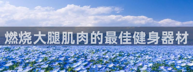 极悦平台基7O777：燃烧大腿肌肉的最佳健身器材