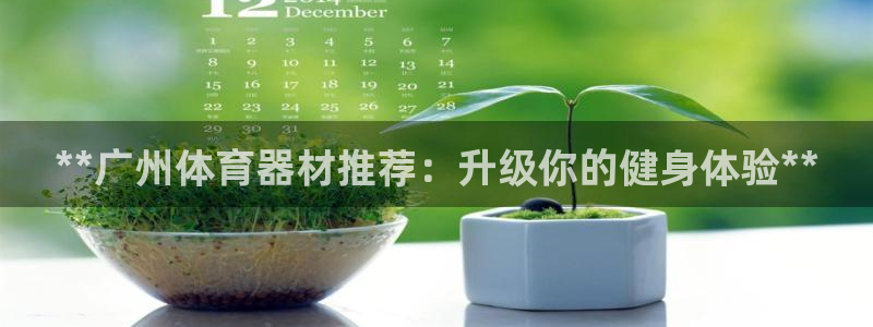 极悦平台注册申请流程详解图：**广州体育器材推荐：升