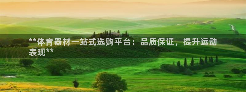 极悦平台是干什么的：**体育器材一站式选购平台：品质