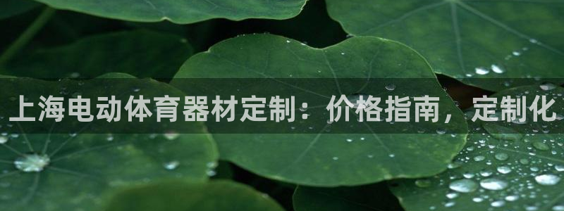 极悦娱乐官网客服联系方式：上海电动体育器材定制：价格