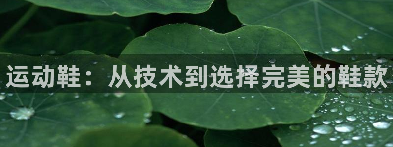 极悦平台代理：运动鞋：从技术到选择完美的鞋款