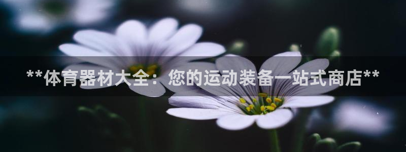 极悦是什么牌子空调的：**体育器材大全：您的运动装备