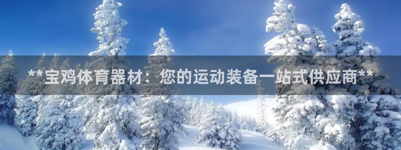 极悦平台注册用户名验证失败：**宝鸡体育器材：您的运