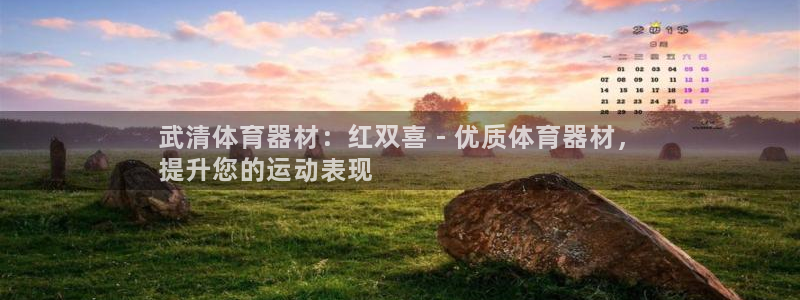 极悦娱乐代理多少钱一个月：武清体育器材：红双喜 - 