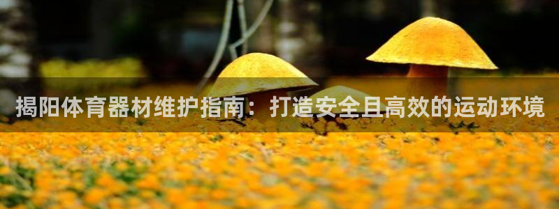 极悦平台代理怎么做赚钱：揭阳体育器材维护指南：打造安