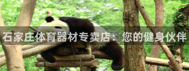 极悦娱乐分7O777：石家庄体育器材专卖店：您的健身