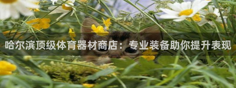 极悦官网旗舰店地址：哈尔滨顶级体育器材商店：专业装备
