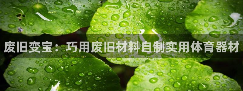 极悦平台注册流程图：废旧变宝：巧用废旧材料自制实用体