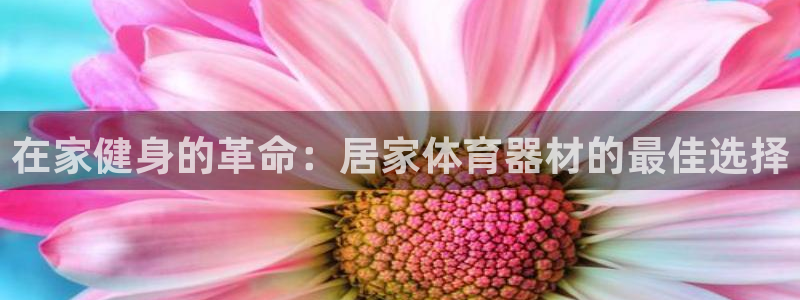 极悦官网登录入口网址：在家健身的革命：居家体育器材的