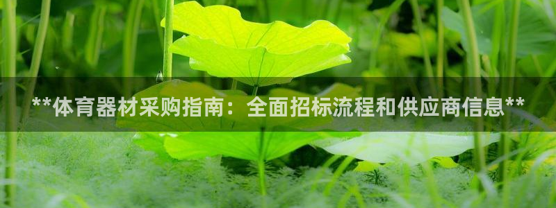 极悦平台是什么公司：**体育器材采购指南：全面招标流