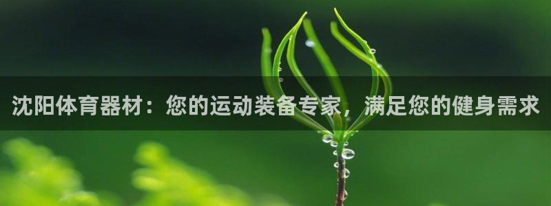 极悦牙膏怎么样好不好：沈阳体育器材：您的运动装备专家
