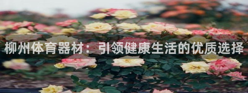 极悦平台官方网站下载安装：柳州体育器材：引领健康生活