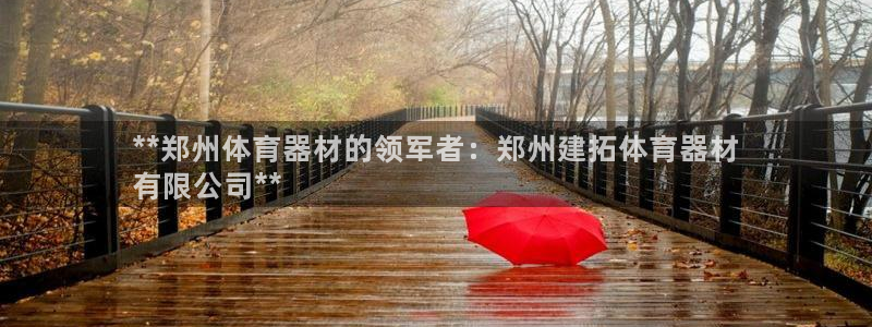 极悦平台与网易合作详情：**郑州体育器材的领军者：郑