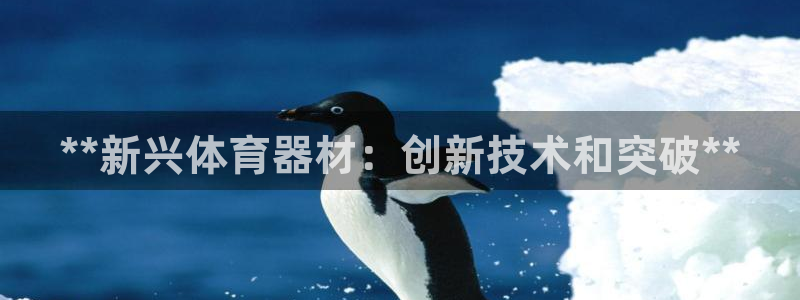 极悦平台注册用户名验证码是什么：**新兴体育器材：创