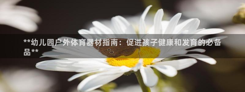 极悦平台代理怎么赚钱的：**幼儿园户外体育器材指南：