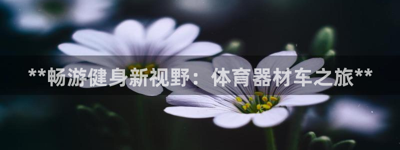 极悦平台注册登录：**畅游健身新视野：体育器材车之旅