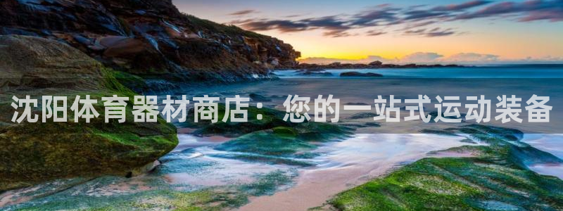极悦平台注册流程图片：沈阳体育器材商店：您的一站式运