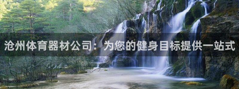 极悦平台注册用户名格式错误：沧州体育器材公司：为您的