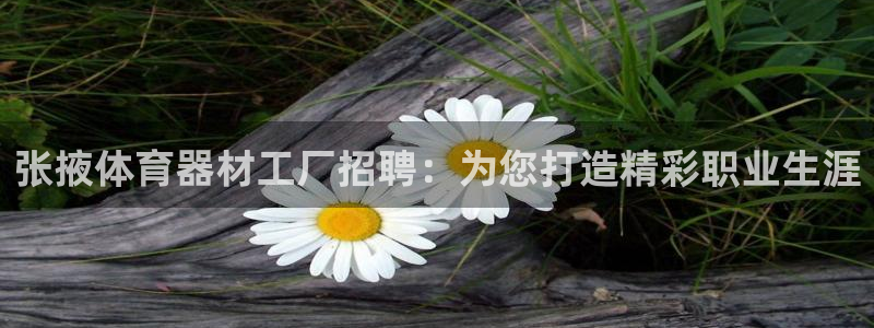极悦平台注册和登录页面在哪：张掖体育器材工厂招聘：为