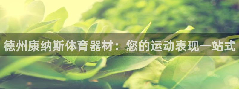 极悦平台注册用户名验证码是什么：德州康纳斯体育器材：