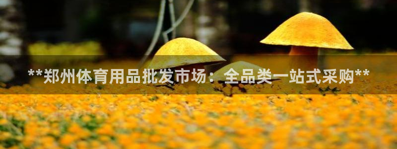 极悦平台注册流程视频：**郑州体育用品批发市场：全品