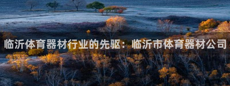 极悦平台注册官方网站下载安卓：临沂体育器材行业的先驱