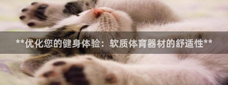 极悦娱乐会被骗吗是真的吗：**优化您的健身体验：软质