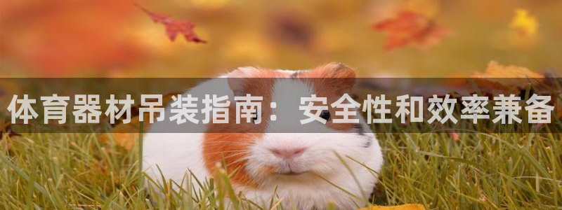 极悦平台官方网站入口网址：体育器材吊装指南：安全性和