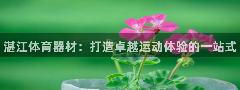 极悦平台使用教程：湛江体育器材：打造卓越运动体验的一