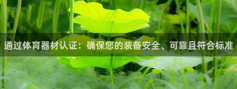 极悦娱乐下载官网安装：通过体育器材认证：确保您的装备
