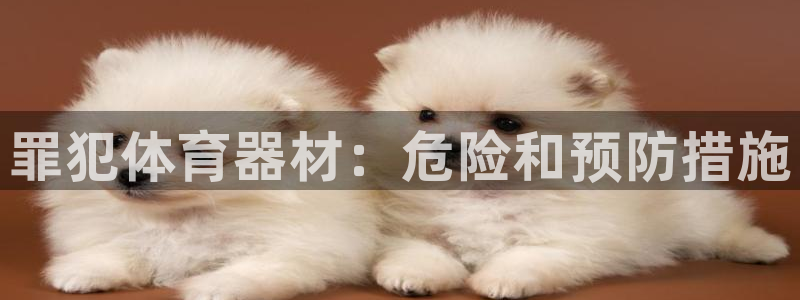 极悦平台注册申请流程详解视频：罪犯体育器材：危险和预