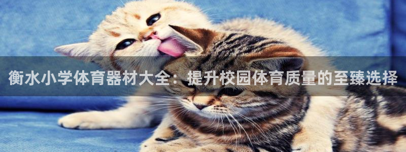 极悦平台代理怎么样：衡水小学体育器材大全：提升校园体